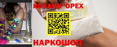 сатива Кингисепп