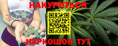 сатива Кингисепп