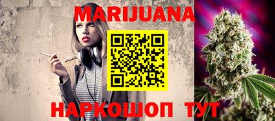 сатива Кингисепп