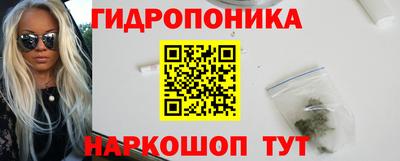 сатива Кингисепп