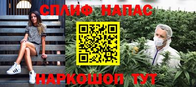 сатива Кингисепп