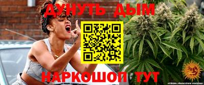 сатива Кингисепп