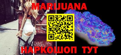 сатива Кингисепп
